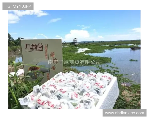 老虎机 线上：如何在网上玩老虎机赢取更多奖金的实用技巧与注意事项